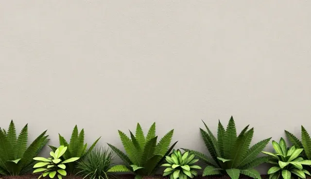 用户互动中关于定制化技术方案的常见误区